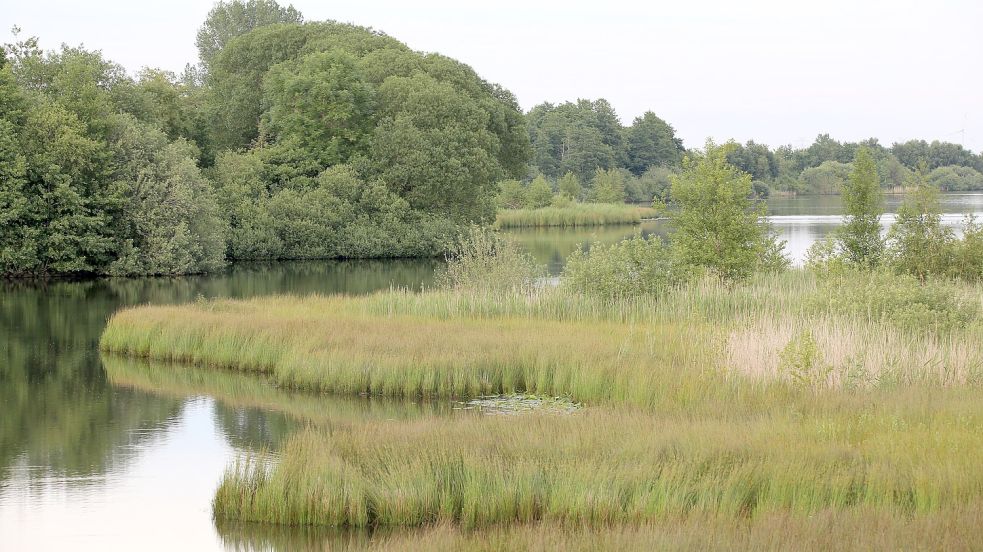 In Ihlow wurde die Machbarkeitsstudie zum Sandwater vorgestellt. Foto: Archiv/Böning
