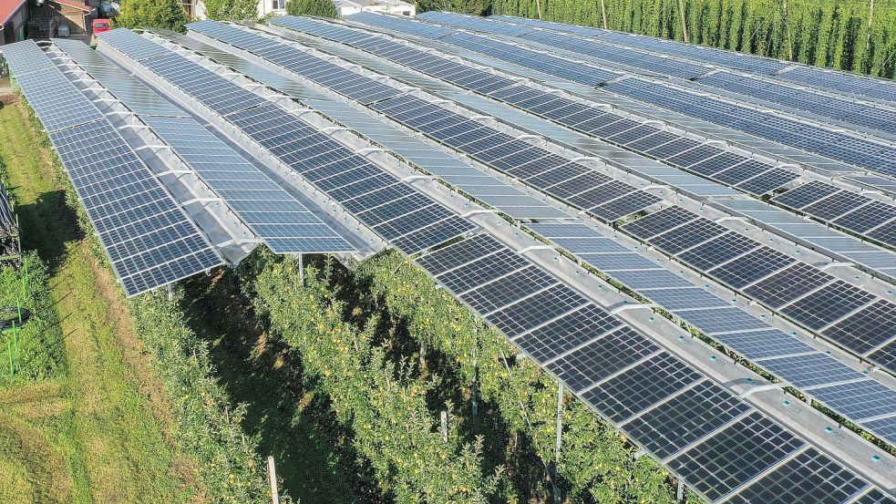 Eine Agri-Photovoltaik überspannt eine Apfelplantage in Baden-Württemberg. Großflächige PV-Anlagen führen in der Region zu Diskussionen. Symbolfoto: Kästle/dpa