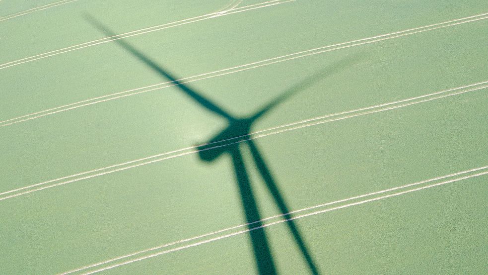 Die Gefahren durch Windkraftanlagen sind umstritten. Foto: Brandt/DPA