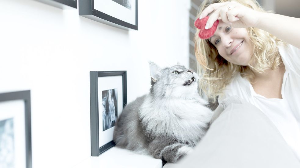 Xenia Dirksen, hier mit Maine Coone Kater „Chester“, berät Katzenbesitzer zu Verhaltensauffälligkeiten ihrer Tiere. Foto: Akka Fotografie