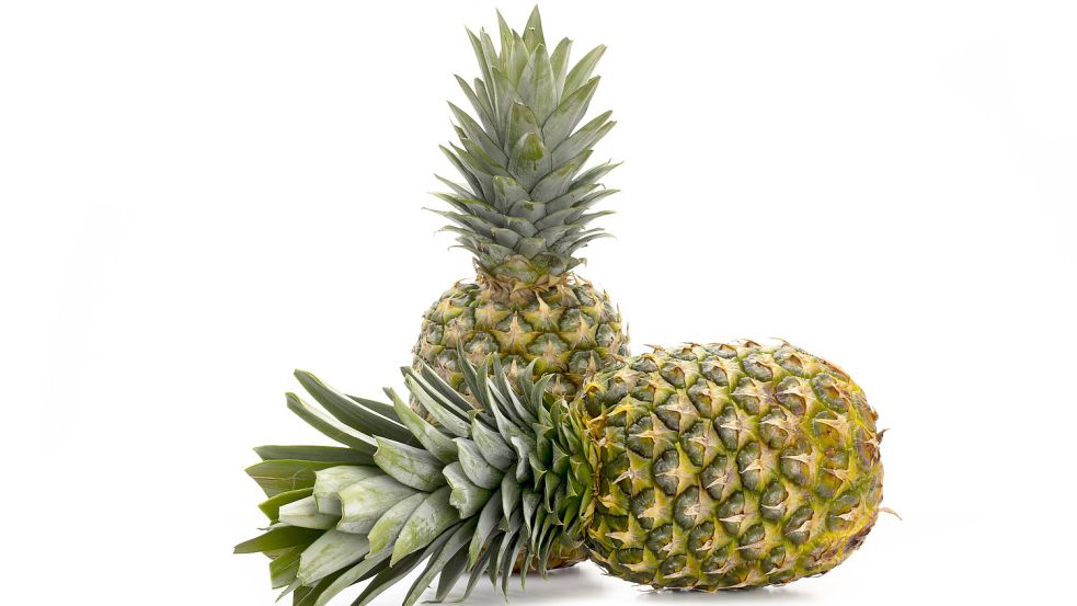Ein Instagram-Post legt nahe, dass Olaf Scholz eine Ananas statt einem Tannenbaum in der Wohnung hat. Foto: www.imago-images.de/YAY-Images