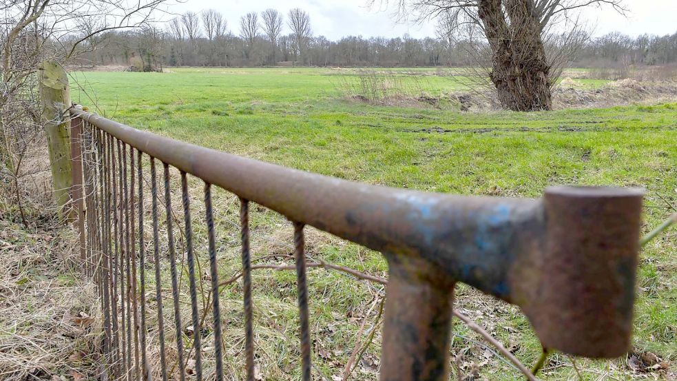 Jenseits des Gatters liegt auf diesem Grundstück In der Diere ein Pingo. Foto: Archiv/Ortgies