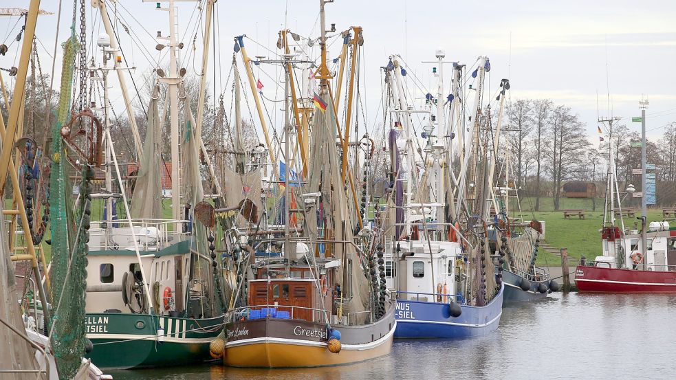 Jetzt sind die meisten Greetsieler Kutter zurück im Hafen. Die Fangsaison ist beendet. Foto: Böning