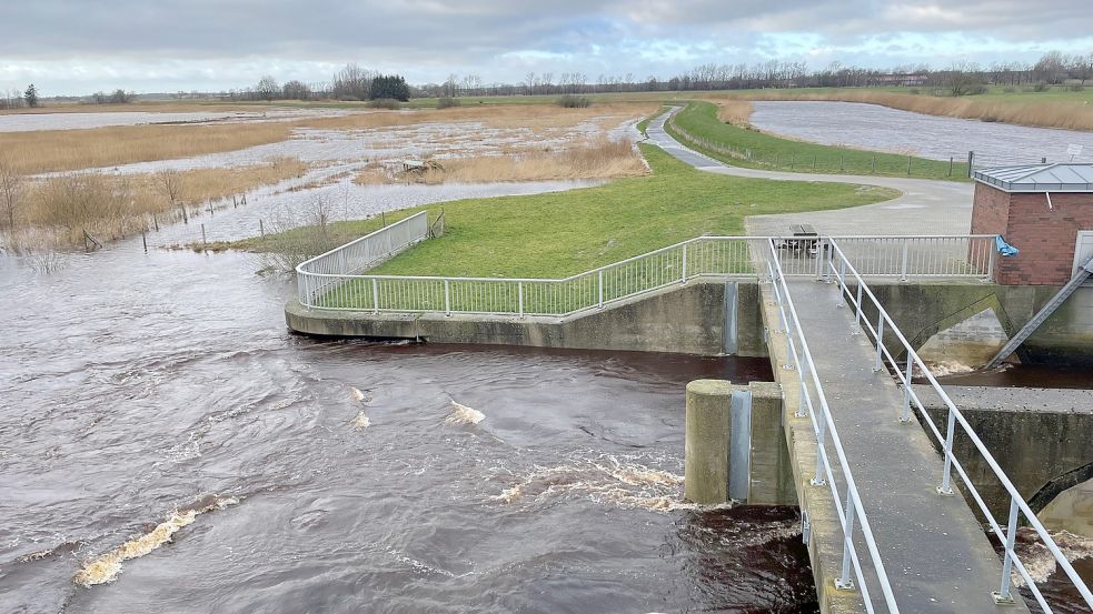 Das erste Mal seit 2012 wurde der Polder Holter Hammrich geöffnet und überflutet. Foto: Janßen