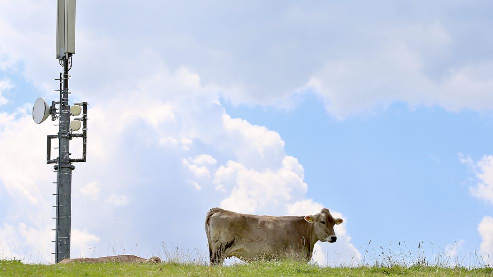 Je abgelegener die Gegend, desto schlechter ist meistens auch der Mobilfunkempfang. DPA-Symbolfoto: Karl-Josef Hildenbrand