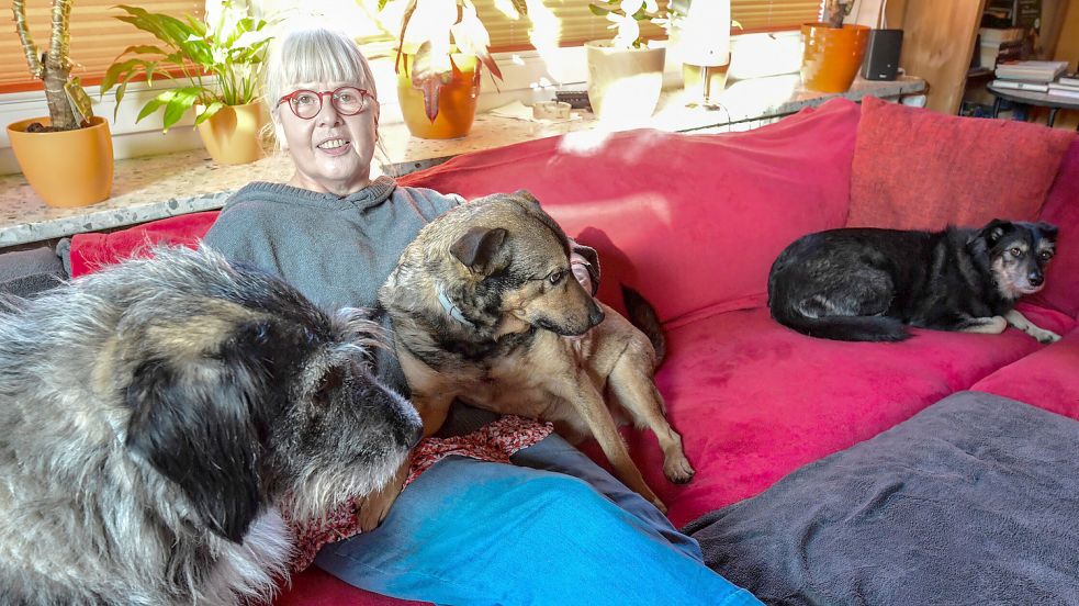 Die Hunde Helena (von links), Bela und Leyla haben bei Ulrike Schmidt in neues Zuhause gefunden. Foto: Ortgies