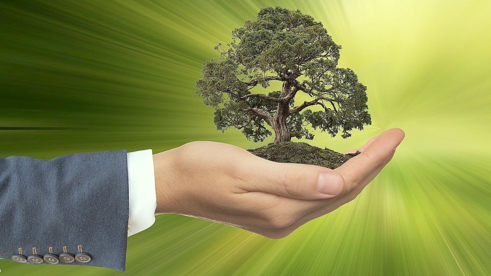 Klimaschutzmanager können zwar nicht die Welt retten. Die Kommunen, die sie beschäftigen, bauen aber auf die positiven Effekte, die ihre Projekte mit sich bringen sollen. Symbolfoto: Pixabay