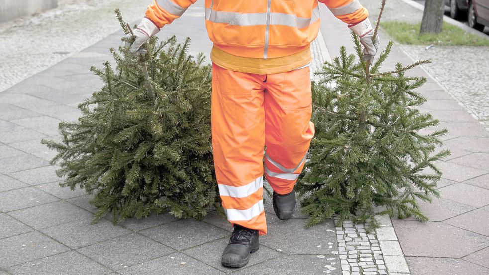 Anfang Januar werden überall in Deutschland die Weihnachtsbäume abgeholt. Foto: Daniel Naupold/dpa