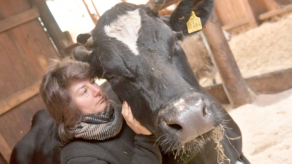 Manche Tiere kommen von überforderten Landwirten.