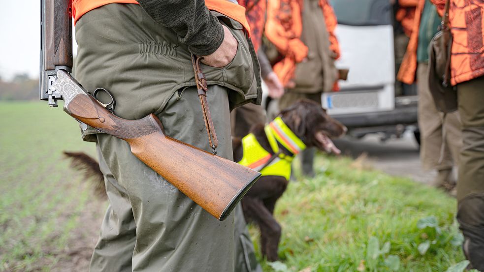 Im Herbst beginnt die Zeit der Gesellschaftsjagd und sie endet nach Bundesjagdrecht am Hasensilvester. Foto: Countrypixel/Adobe Stock