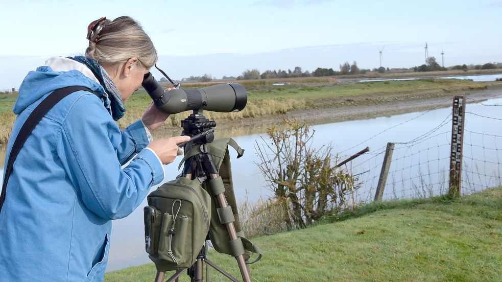 Agnes Ratering, erste Vorsitzende der Nabu-Gruppe Rheiderland, beobachtet Zugvögel. Foto: Archiv