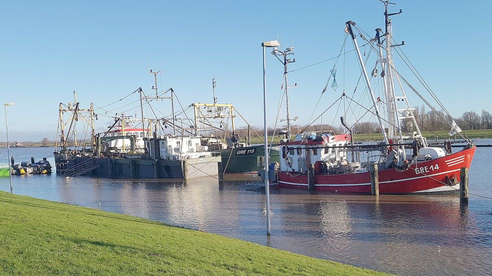 Teile des Greetsieler Hafens standen vergangene Woche unter Wasser und mussten gesperrt werden. Foto: Entwässerungsverband