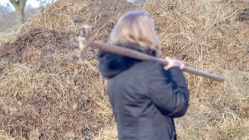 Gut abgelagerter Pferdemist kann im Garten gut als Dünger eingesetzt werden. Kuhmist enthält aber noch mehr Nährstoffe, die von Pflanzen verarbeitet werden können. Foto: Ortgies