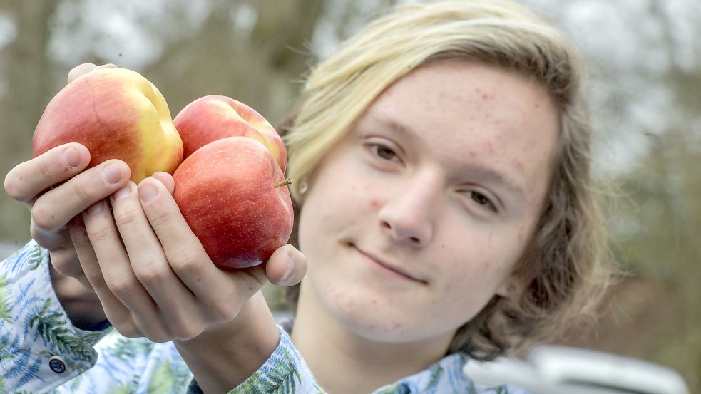 Am 11. Januar dreht sich alles um den Apfel. Für das Foto hält Redaktionspraktikant Justus Högemann gleich mehrere Äpfel in die Kamera. Foto: Ortgies