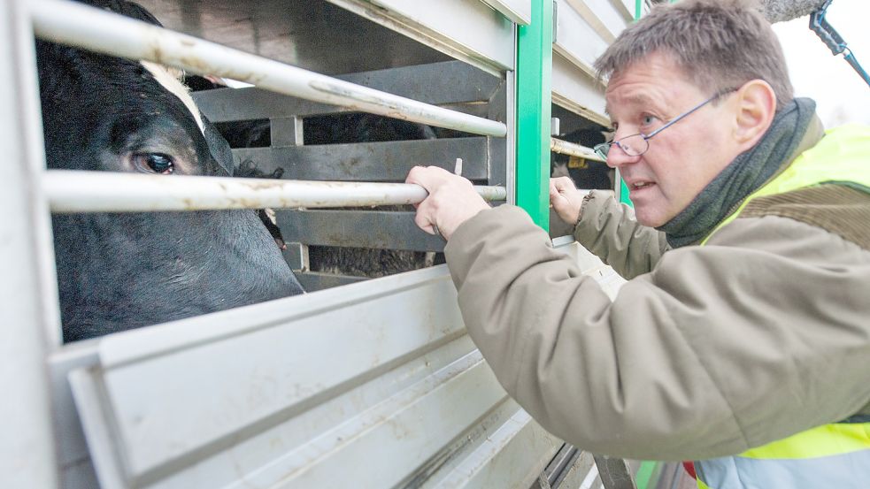 Die Kontrolle eines Viehtransporters bei Uelzen. Nach Verlassen der EU gibt es laut Tierschützern keine Überprüfungen einer europäischen Behörde mehr. Archivfoto: Schulze/DPA