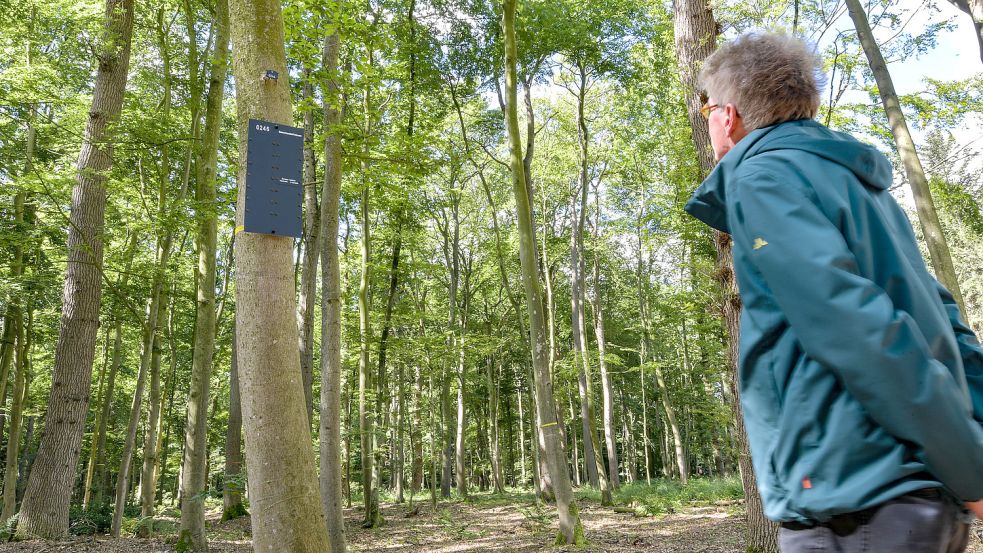 Ein Vorbild für Aurich? Auf Schildern wird an die Toten im Gedächtniswald in Logabirum erinnert. Foto: Archiv/Ortgies