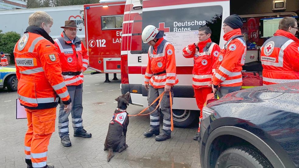 Auch eine Hundestaffel hilft bei der Suche. Foto: Böning