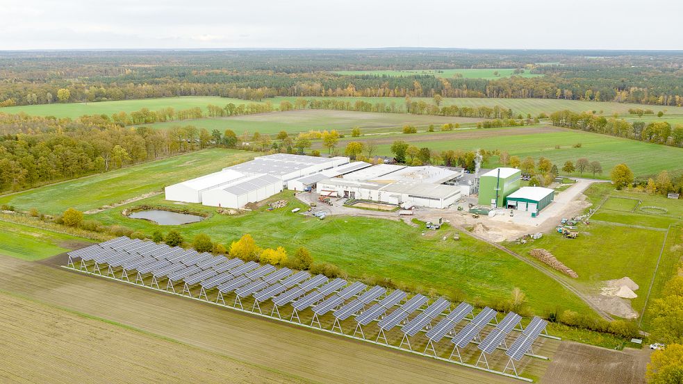 Diese Photovoltaik-Anlage steht auf einem Feld bei Lüchow. Hier gibt es eine Kombination: Sonnenenergie von oben, Schnittlauch am Boden: Foto: Schulze/dpa