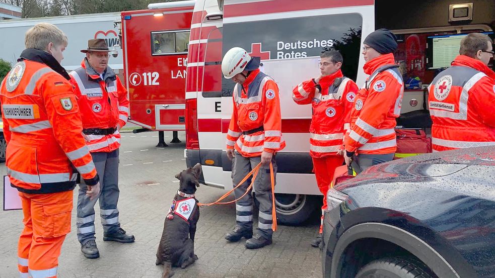 Bei der Suche nach der vermissten 84-Jährigen kamen auch Hunde zum Einsatz. Foto: Böning