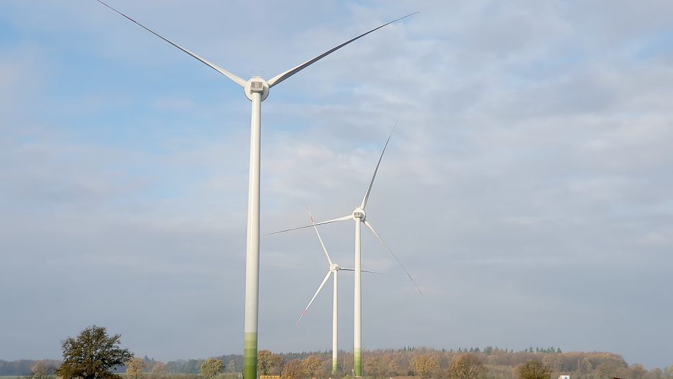 Schleswig-Holstein ist zwar schon gut davor, muss aber trotz allem noch am Windkraftausbau arbeiten, wenn die Bundesziele erreicht werden sollen. Foto: Finn Fischer