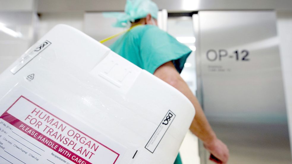 Ein Styropor-Behälter zum Transport von zur Transplantation vorgesehenen Organen wird am Eingang eines OP-Saales vorbeigetragen. Foto: Soeren Stache/dpa
