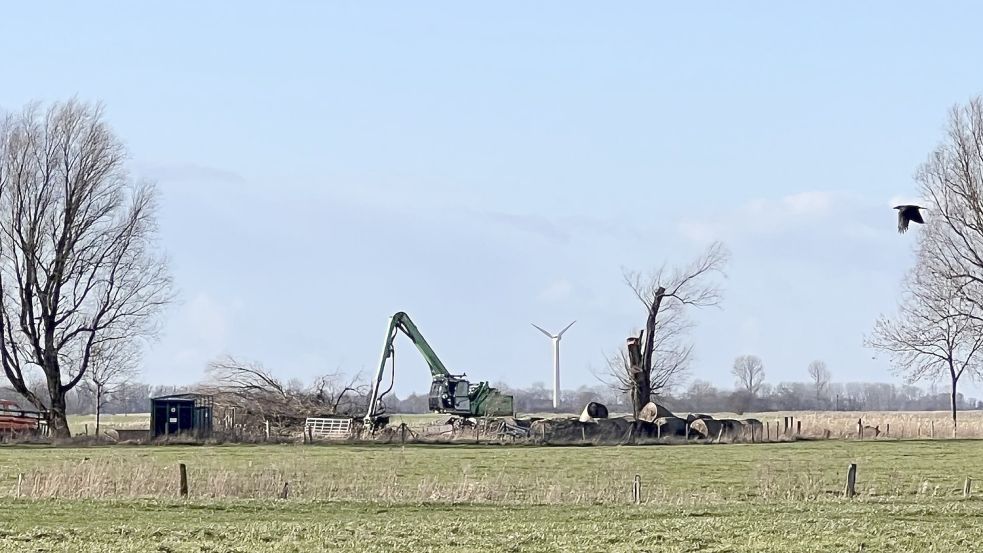 Am Dienstag wurde mit der Rodung am Tjadeweg begonnen. Foto: Ingo Weber/ Bürgerinitiative