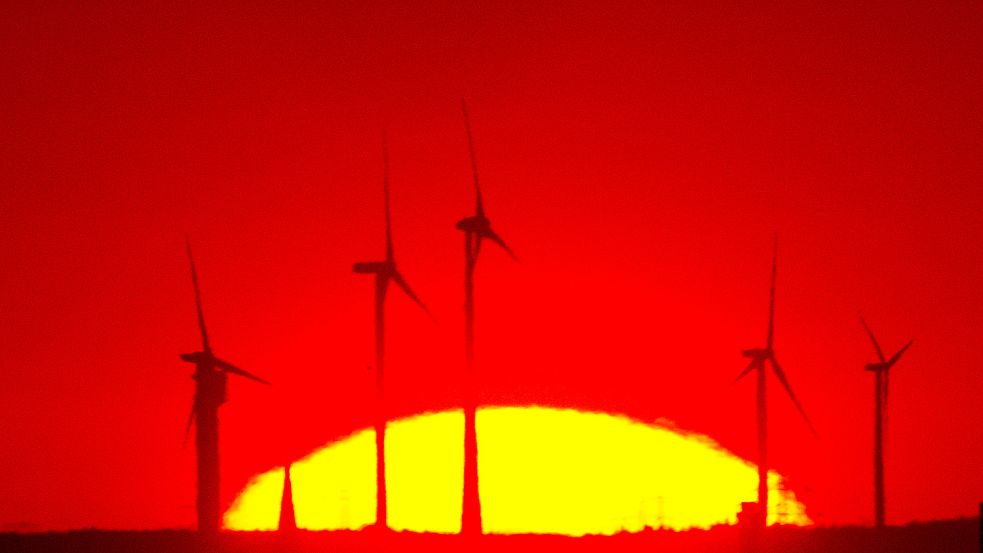 Windräder am Rande Berlins: Nur sechs Windenergieanlagen drehen sich derzeit auf Stadtgebiet - deutlich weniger als beispielsweise in Hamburg oder Bremen. Foto: dpa/Paul Zinken