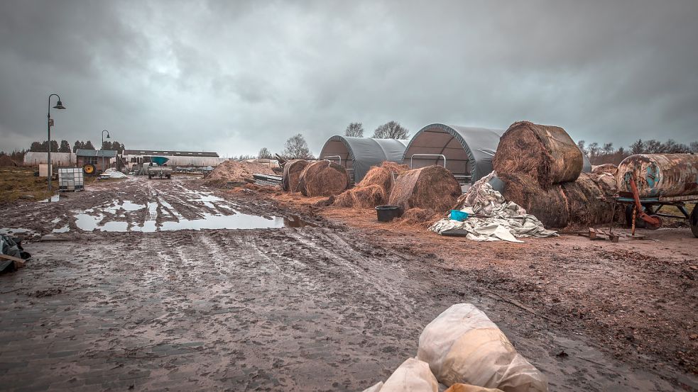 Obwohl die Betreiber wissen konnten, dass ihre Bauten nicht rechtens sind, errichteten sie noch zusätzliche Ställe wie diese beiden, hinter gammeligen Heuballen versteckten Konstruktionen. Foto: Cordsen