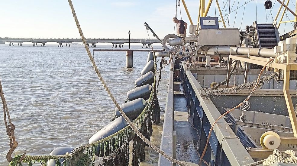 Die Hängekulturen an der Langleine liegen in unmittelbarer Nähe des Flüssiggas-Terminals in Wilhelmshaven. Foto: Thiessen