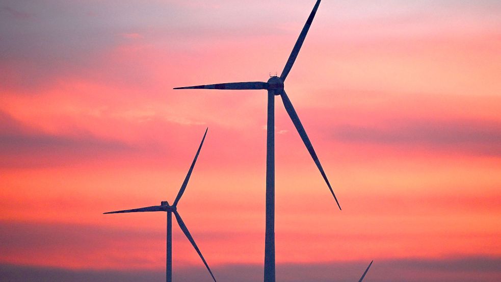 Geht es jetzt voran mit dem Windkraft-Ausbau? Die Wirtschaft macht mächtig Druck auf Robert Habeck. Foto: Robert Jaeger