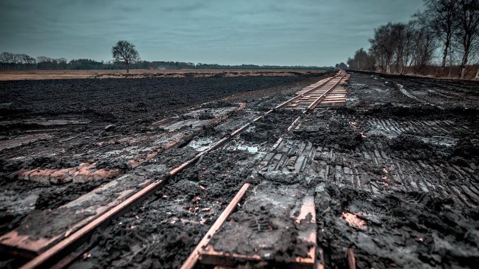 Weil für den Torfaushub auf den Erweiterungsflächen wieder eine Feldbahn zum Einsatz kommen soll, sind bereits Gleise entlang des Grünen Wegs verlegt worden. Fotos: Cordsen