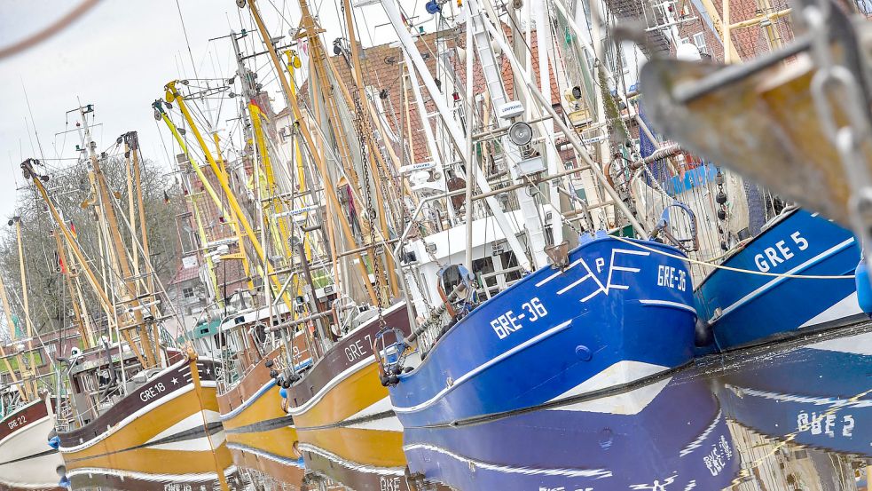 Die Greetsieler Hafen ist für seine Krabbenkutter berühmt. Foto: Ortgies