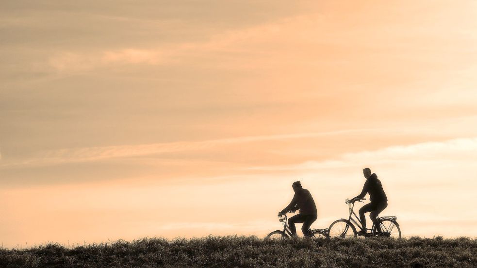 Freie Fahrt für Radfahrer soll es auf der Route zwischen Emden und Papenburg langfristig geben. Foto: Pixabay/MabelAmber