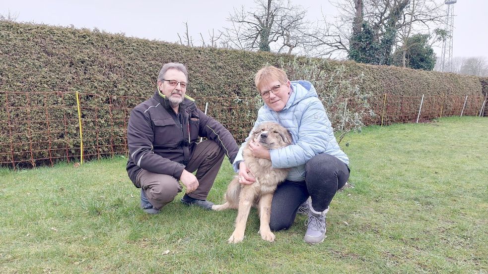Tamara und Gerhard Janssen haben sich direkt in Hündin Anna verliebt. Fotos: Hassen