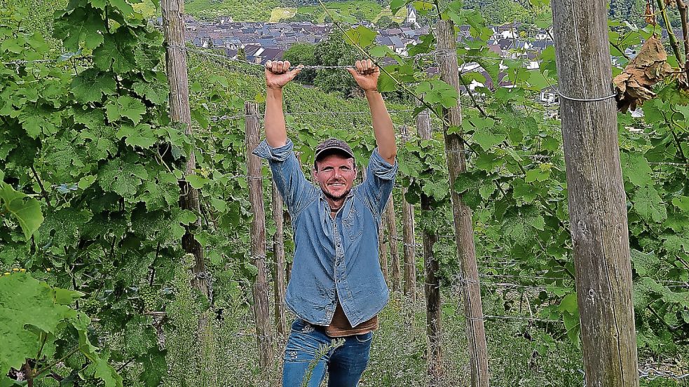 Paul Hartung hat einen eigenen Weinberg. Foto: privat