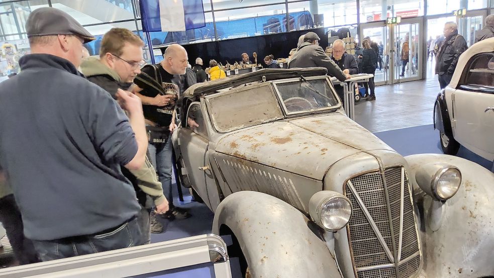 Ob man den wieder hinbekommt? Besucher bestaunen einen Adler Junior. Foto: Ortgies