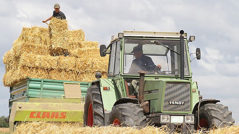 Zwei Männer fahren Stroh ein. Sind hier Bauern oder Landwirte bei der Arbeit? Foto: Päschel