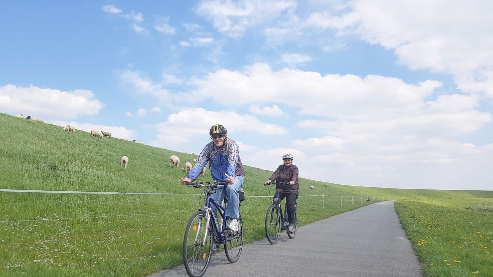 Touren am Deich, wie hier in Ditzum, sind sehr beliebt. Foto: Gettkowski/Archiv