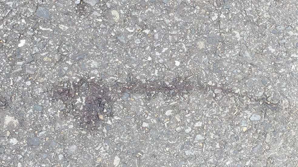Am Freitagnachmittag konnte man doch Blutspuren erkennen. Foto: Hagewiesche