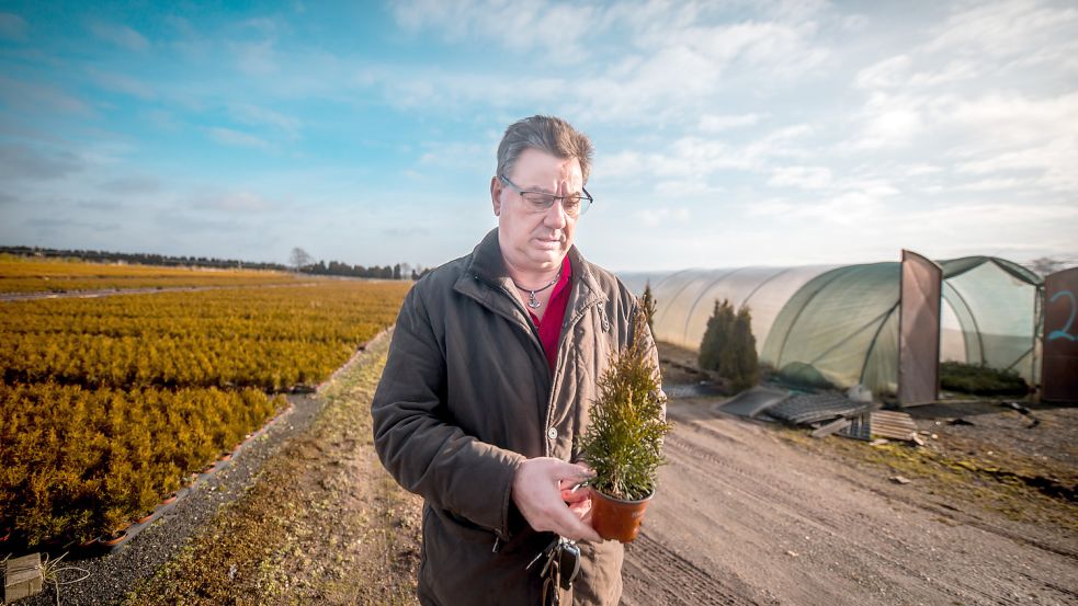 Wilfried Jelten mit einer Heckenpflanze auf dem Betriebsgelände, das er gepachtet hat. Fotos: Cordsen