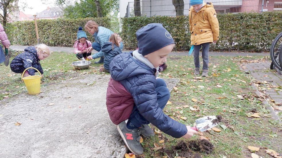 Beim ersten Aufschlag zu der Aktion #emdenmacht pflanzten Kinder aus Kitas und Schulen im vergangenen Herbst Tausende Blumenzwiebeln in der Stadt – wie hier an der Kita Schwabenstraße. Foto: Hanssen/Archiv