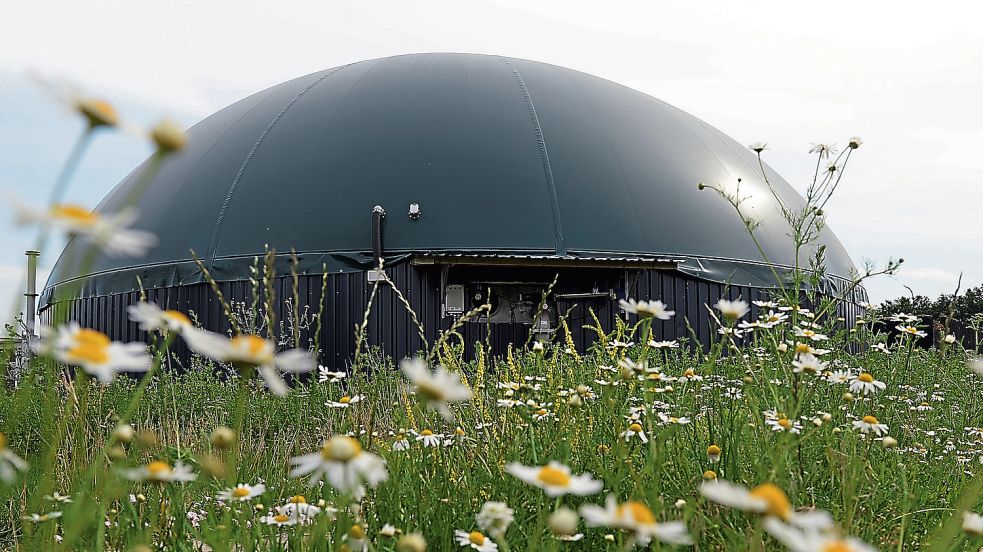 Eine Biogasanlage für Hinte? Vielleicht in einem neuen Gewerbegebiet an der Autobahn? Das schlägt die CDU vor. Symbolfoto: DPA/Archiv