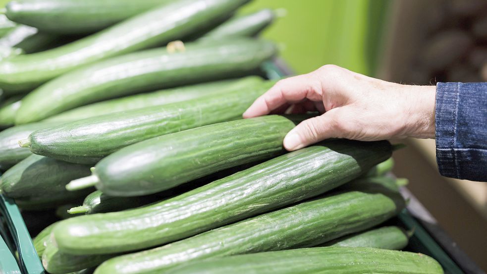 Ob im Discounter, Supermarkt oder Bioladen: Gurken sind in diesen Tagen auffallend teuer. Foto: Imago Images/Photothek