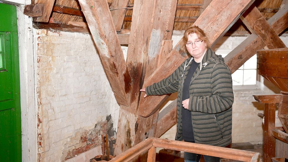 So sah es im vergangenen Jahr in der Pewsumer Mühle aus. Schimmel und Feuchtigkeit haben das historische Gebäude befallen. Foto: Hock/Archiv