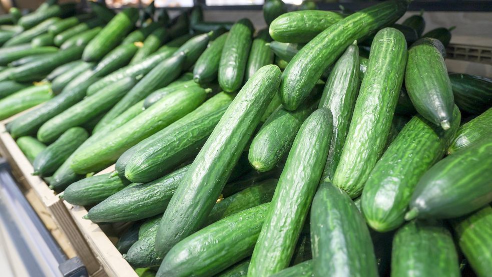 Die Preise für Gurken schnellen in die Höhe. Wie werden sich die Kosten für Obst und Gemüse entwickeln? Foto: Imago Images/ITAR-TASS