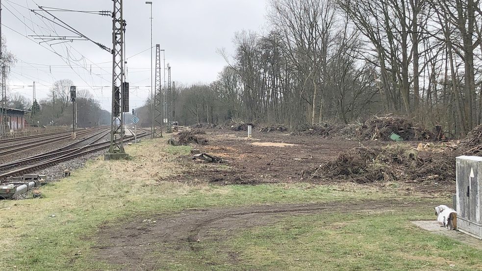 In den vergangenen Wochen sind im Umfeld des ehemaligen Ihrhover Bahnhofs zwischen der Deichstraße und dem Uhlenweg zahlreiche Bäume gefällt und Sträucher entfernt worden. Nach Auskunft einer Pressesprecherin der Deutschen Bahn sind das vorbereitende Arbeiten für die das Einrichten einer Baustelle. Foto: Ammermann
