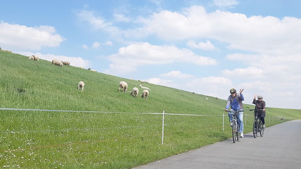 Urlaub hinterm Deich: Die Gemeinde Jemgum ist bei Touristen beliebt. Foto: Gettkowski/Archiv