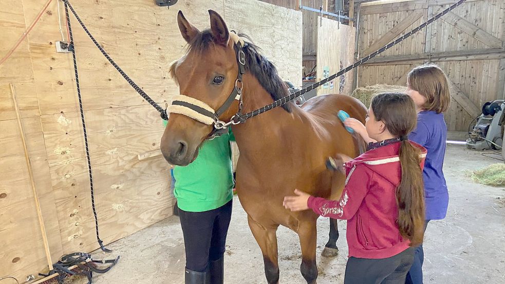 In der Reitschule von Inga Damm lernen Kinder einen richtigen Umgang mit Pferden. Foto: privat