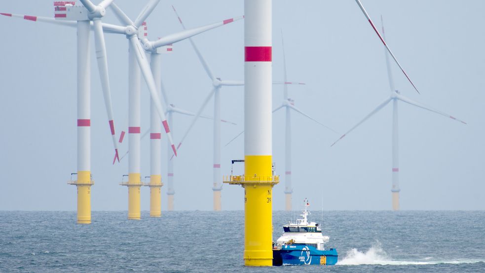 Offshore-Windparks wie dieser vor der Insel Spiekeroog könnten ein Sabotage-Ziel sein. Foto: picture alliance / Ingo Wagner/dpa