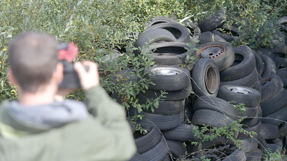 Vorrangig lagern am Naturschutzgebiet Stapeler Moor Altreifen. Archivfoto: Ortgies